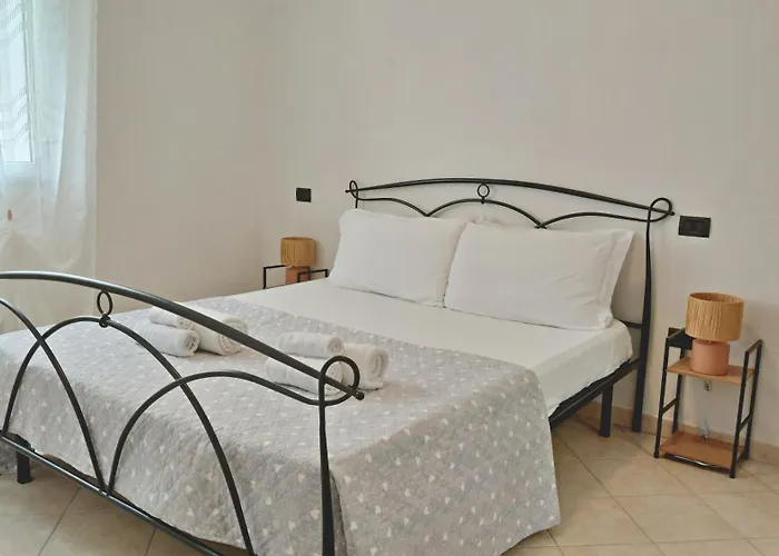 Anima Sarda * Olmedo